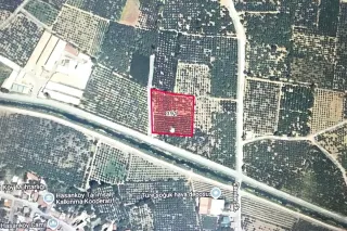 BKE BURSA KILIÇ TAN HASANKÖY DE SATILIK 3.550m2 ŞEFTALİ BAHÇESİ