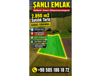  Balıkesir Gönen Satılık Tarla | Yolu ve Suyu Var | 2.890 m² | Dacia Duster 4x4 Takas