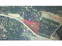 BKE BURSA KILIÇ TAN HASANKÖY DE SATILIK 4.220m2 YOLA CEPHE TARLA