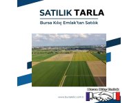 BURSA KILIÇ TAN YENİŞEHİR BURCUN DA SATILIK 7224m2 ARMUT BAHÇESİ